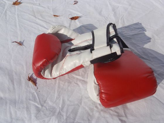 Boxhandschuhe