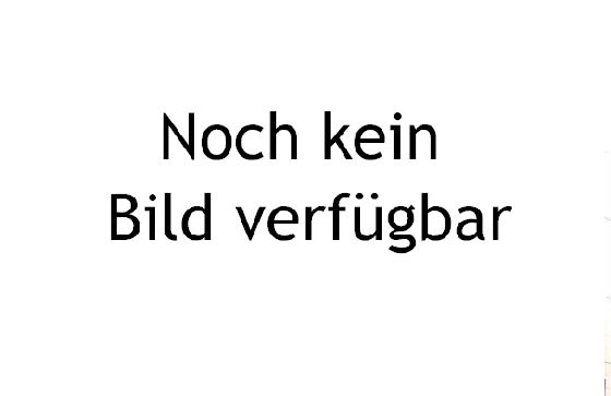 Alzmetall AB 3 - Säulenbohrmaschine